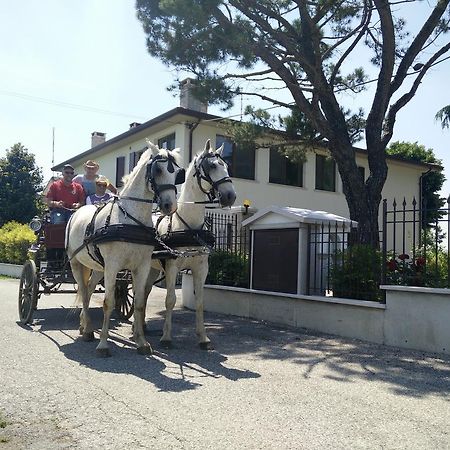 Hotel La Siesta à Villafranca di Verona Extérieur photo