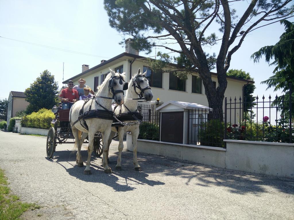 Hotel La Siesta à Villafranca di Verona Extérieur photo