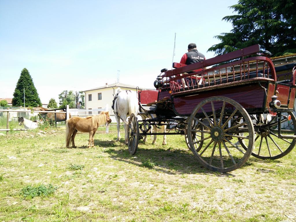 Hotel La Siesta à Villafranca di Verona Extérieur photo