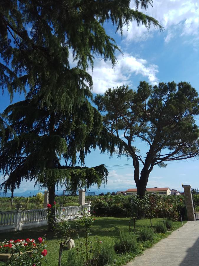 Hotel La Siesta à Villafranca di Verona Extérieur photo