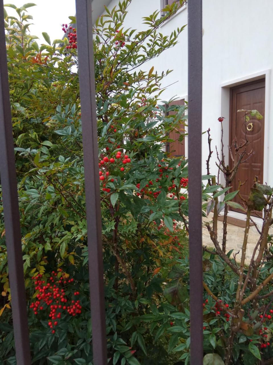 Hotel La Siesta à Villafranca di Verona Extérieur photo